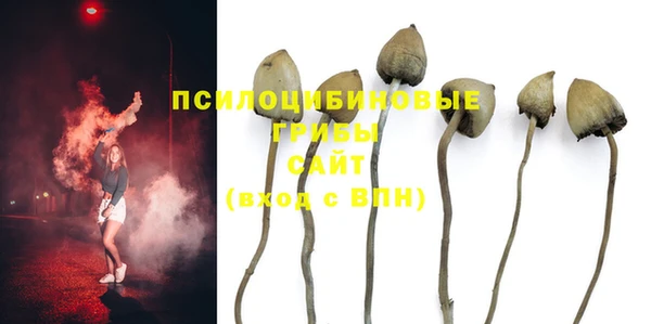 mdma Няндома