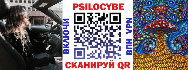 Псилоцибиновые грибы Psilocybe  Фрязино 